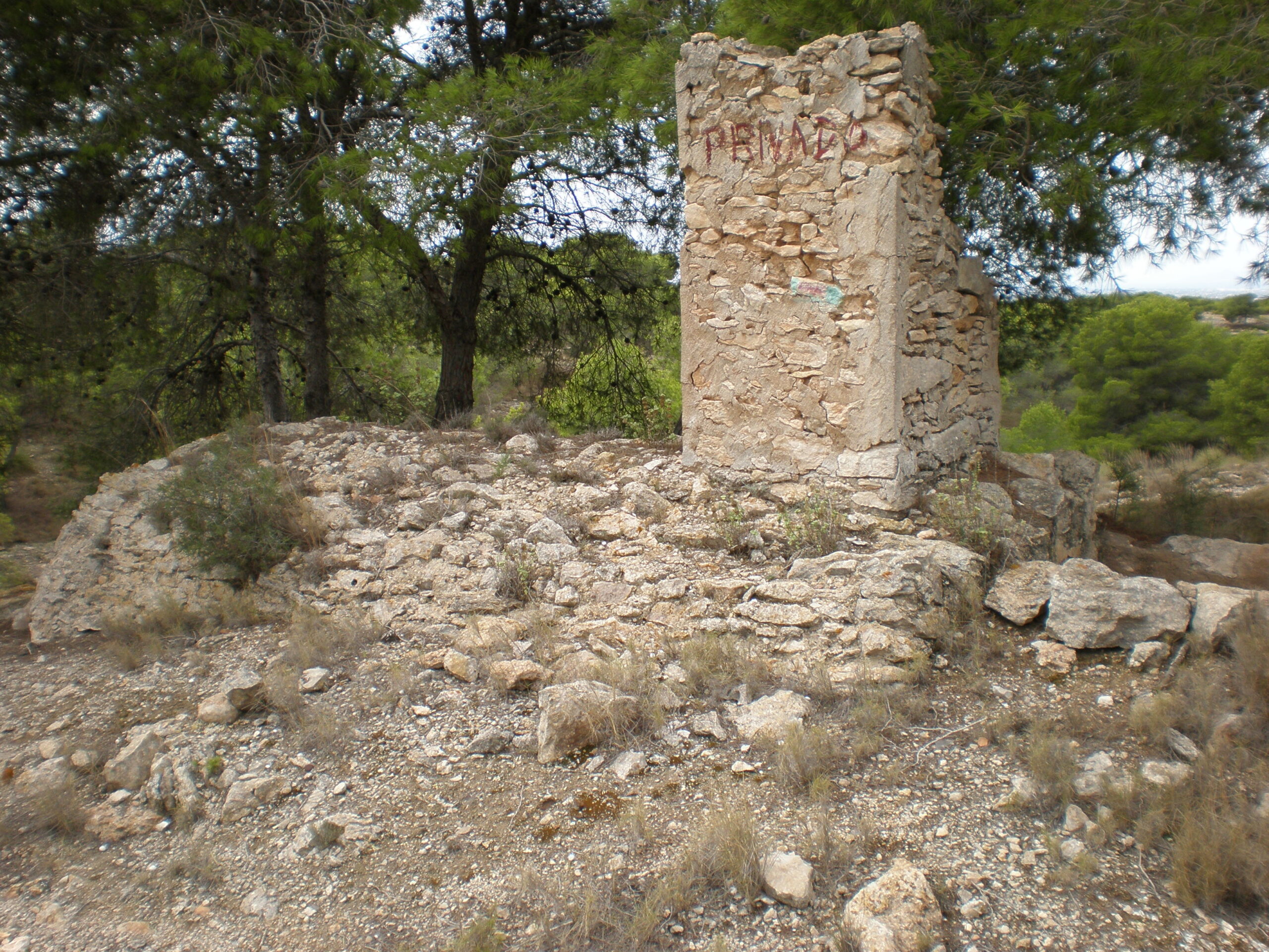 Aljubs a la serra de Santa Pola