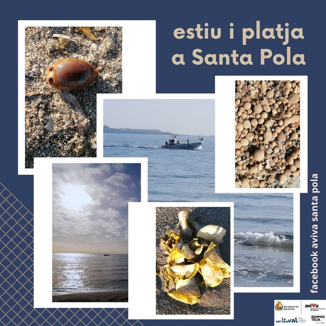 Vora mar